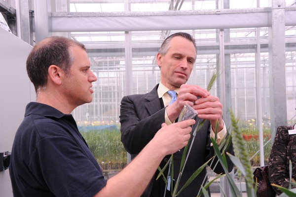 "	NIABs Dr Phil Howell demonstrates NIABs new synthetic wheat breeding programme to Lord de Mauley 